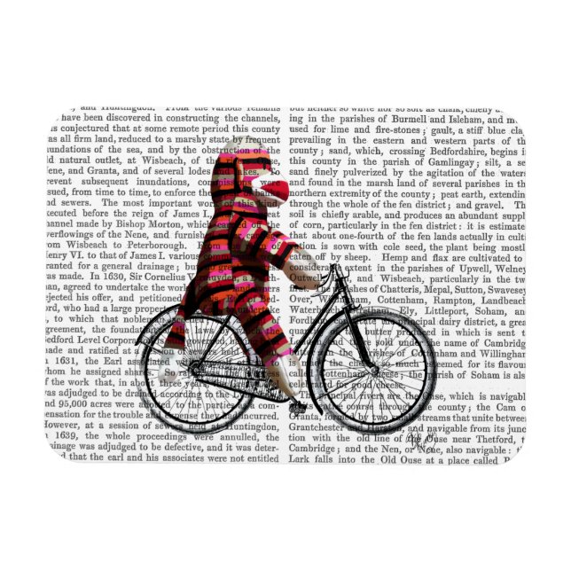 Sock Monkey on Bicycle Magnet (Horizontal)