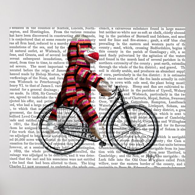 Sock Monkey on Bicycle Poster (Front)