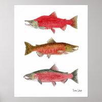 Sockeye,Chinook,Coho Salmon