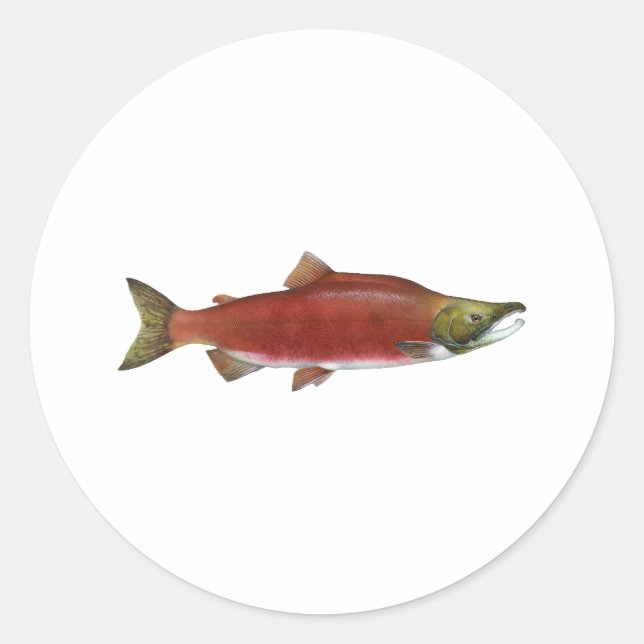 Sockeye Salmon Classic Round Sticker (Front)
