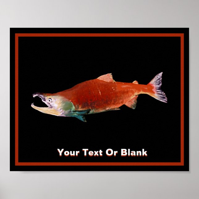 Sockeye Salmon in Red Poster (Front)