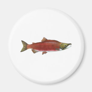 Sockeye Salmon Magnet