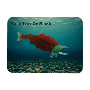 Sockeye Salmon Magnet