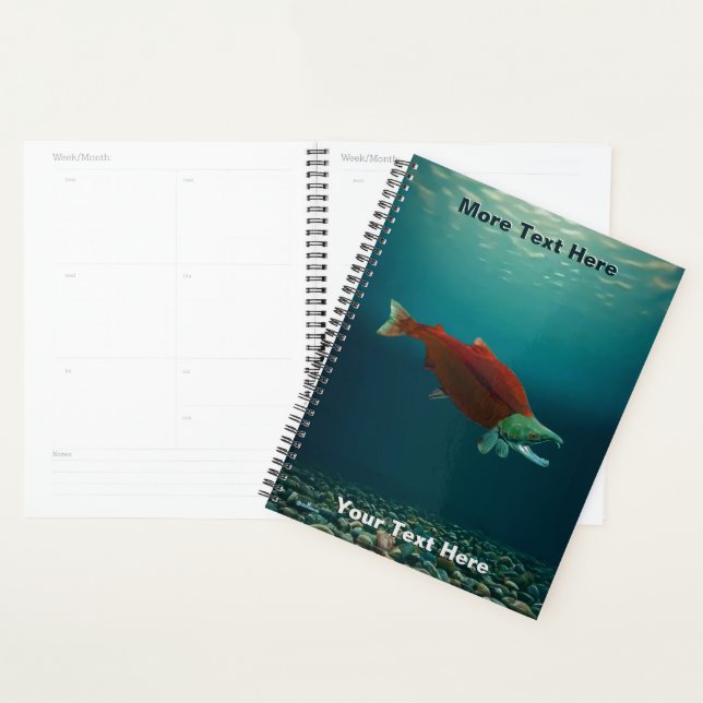 Sockeye Salmon Planner (Display)