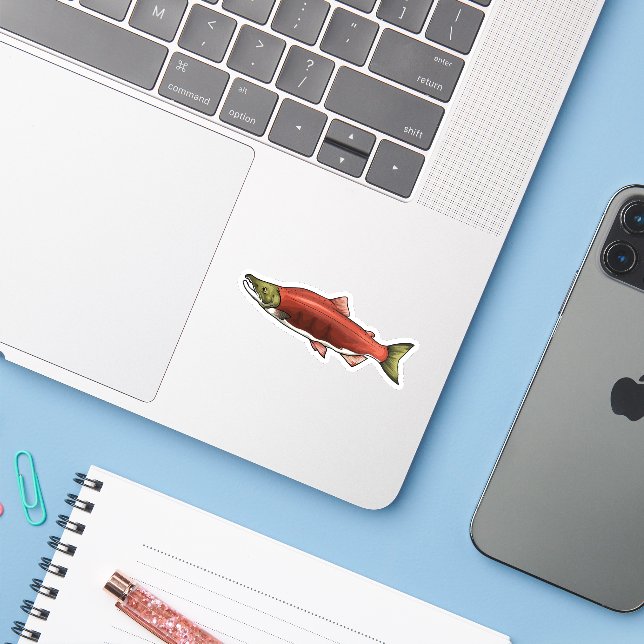Sockeye Salmon Spawning Phase (Laptop w/ iPhone)