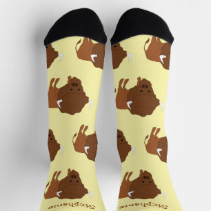 Socks Bison Design