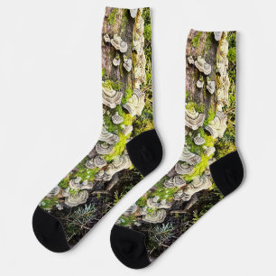 Socks. Design Turkey Tail Mushrooms Socks