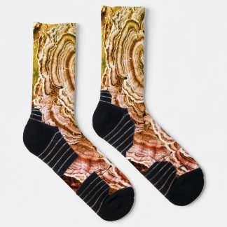 Socks featuring Turkey Tail mushrooms.