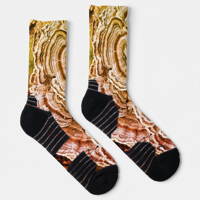 Socks featuring Turkey Tail mushrooms. (Right)