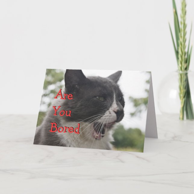 Socks Kitty Yawning-customize Card (Front)