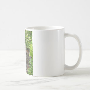 Soco Falls Coffee Mug