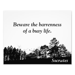 Socrates - quote print