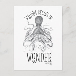 Socratic Cephalopod Postcard