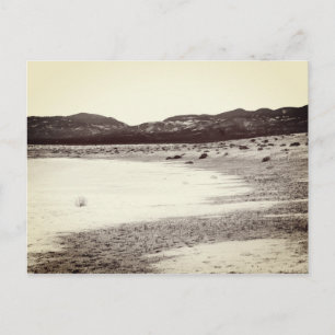 Soda Lake Carrizo Plain California Postcard