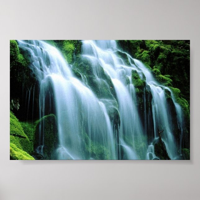 Sodden Moss, Proxy Falls Poster (Front)