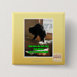 Sofa Bison 15 Cm Square Badge