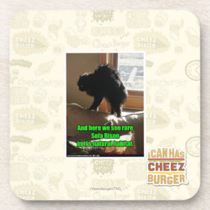 Sofa Bison Coaster