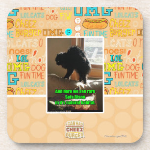 Sofa Bison Coaster