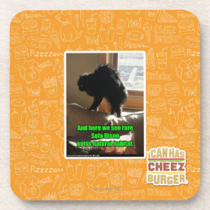 Sofa Bison Coaster