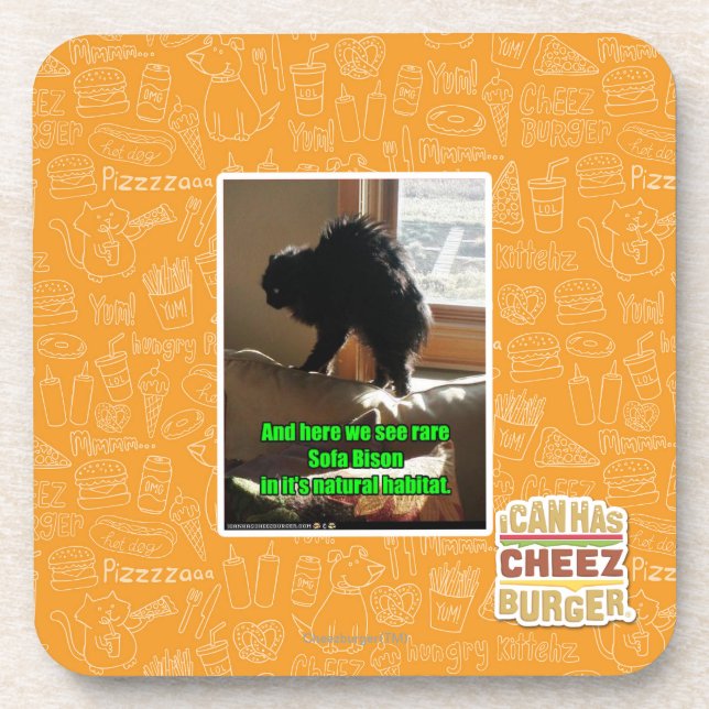 Sofa Bison Coaster (Front)