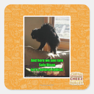 Sofa Bison Square Sticker