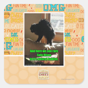 Sofa Bison Square Sticker