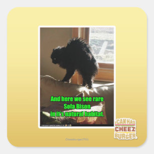 Sofa Bison Square Sticker