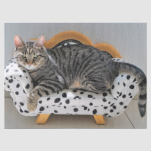 Sofa cat tissue paper