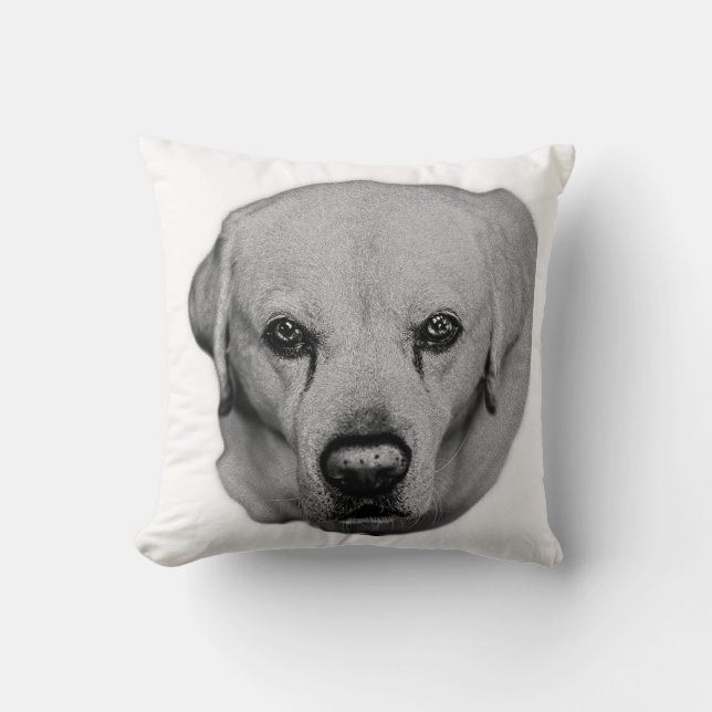 Sofa Guardian, Soft Gaze Cushion (Front)