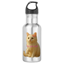 Soft Aesthetic Cat Meme and Feminine  532 Ml Water Bottle