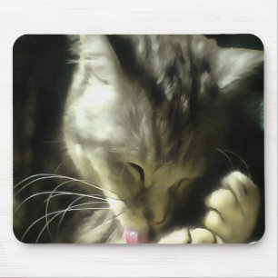 Soft And Gentle Fur And Purr Of A Grey Cat Mouse Mat