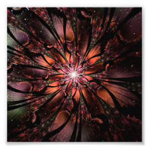 Soft and tenderness fractal fantasy flower   photo print