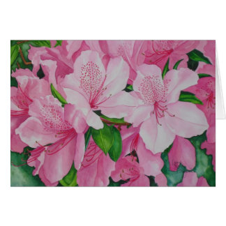 Soft Azaleas