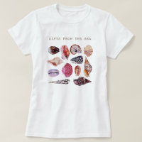 Soft Beach Shell Pattern Design