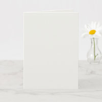Soft Billowy Cloud White Solid Color Of The Year