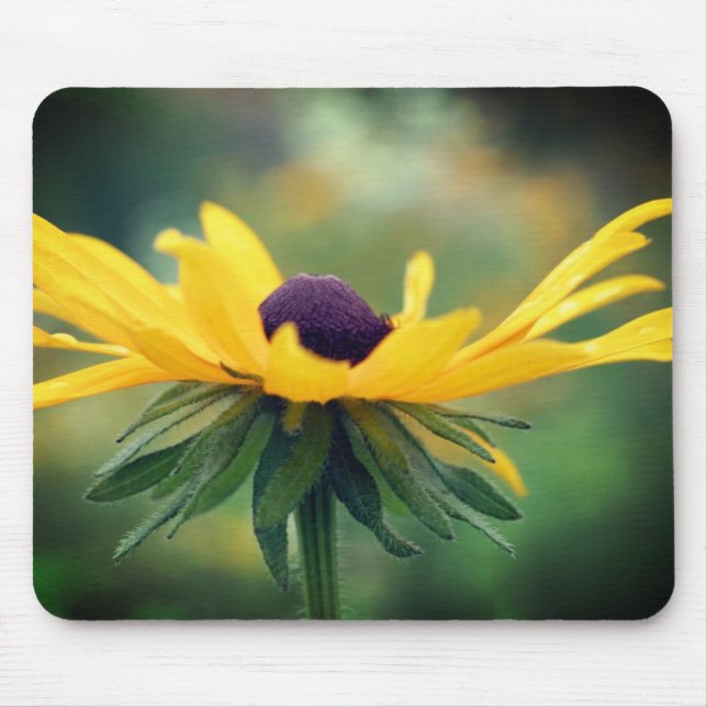 Soft Black Eyed Susan Flower  Mouse Mat (Front)