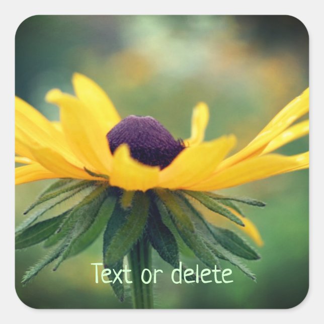 Soft Black Eyed Susan Flower Personalised Square Sticker (Front)