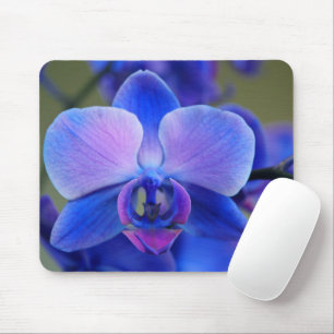 Soft Blue and Pink Orchid Mousepad
