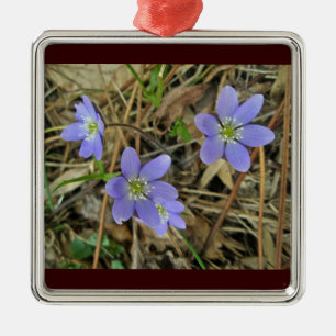 Soft Blue Hepatica Wildflower Ornament