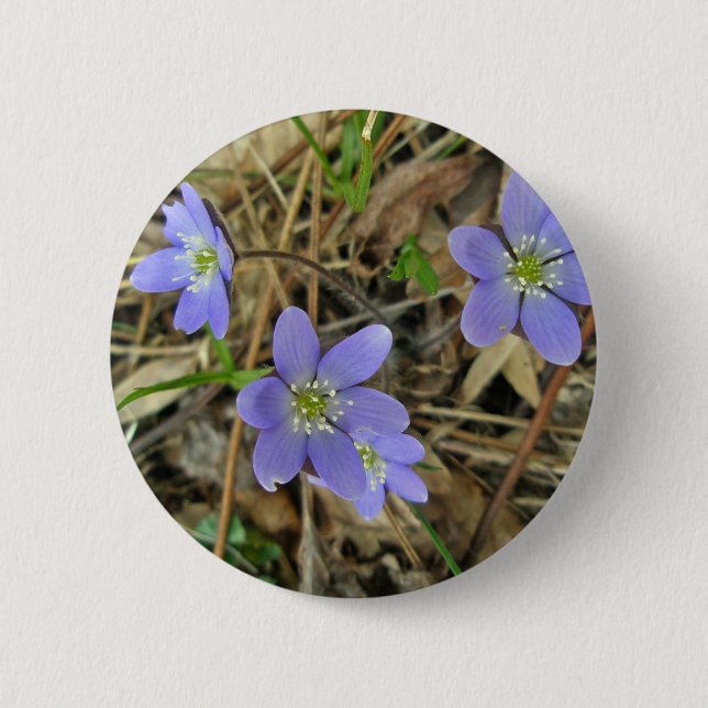 Soft Blue Hepatica Wildflower Series 6 Cm Round Badge (Front)