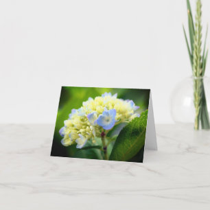 Soft Blue Hydrangea Flower Blank Note Card