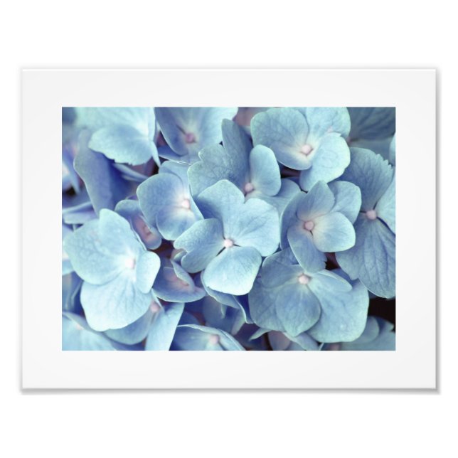 Soft Blue Hydrangea Pattern Photo Print (Front)