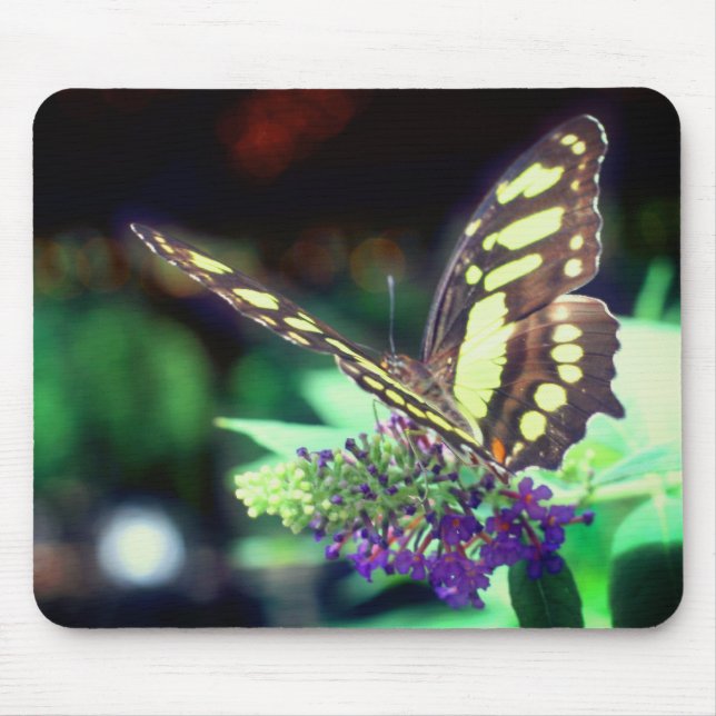 Soft Butterfly On Flower Nature  Mouse Mat (Front)