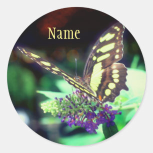 Soft Butterfly On Flower Nature Personalised Classic Round Sticker