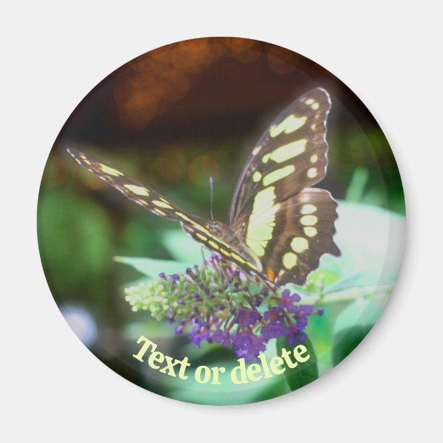 Soft Butterfly On Flower Nature Personalized Magnet (Front)