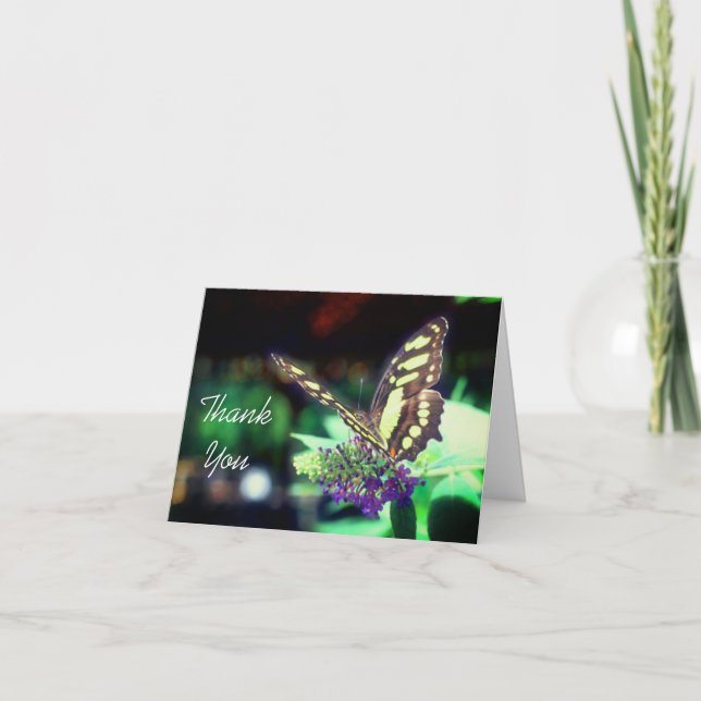 Soft Butterfly On Flower Nature Thank You Card (Front)
