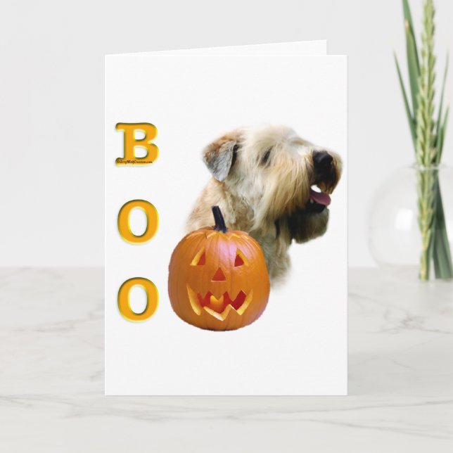 Soft Coated Wheaten Terrier Boo Card (Front)