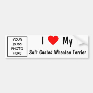 Soft Coated Wheaten Terrier Bumper Sticker