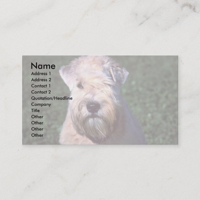 Soft-coated Wheaten Terrier Business Card (Front)