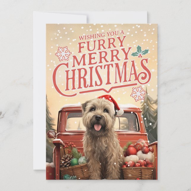 Soft Coated Wheaten Terrier Christmas Card  (Front)